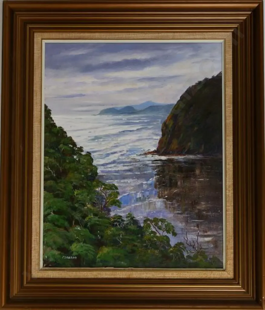 STEANE, J - West Coast from Above Piha Image 1++