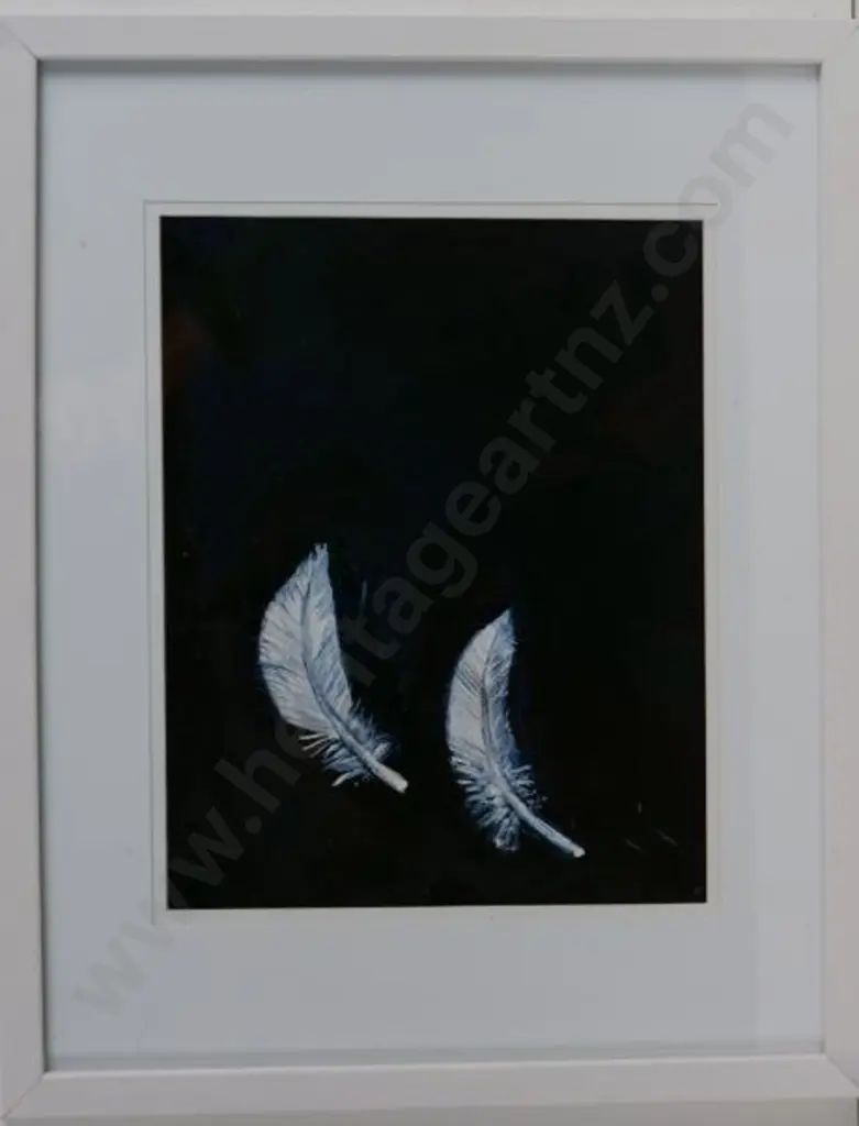 UNKNOWN Artist - Feathers Image 1++