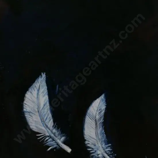 UNKNOWN Artist - Feathers