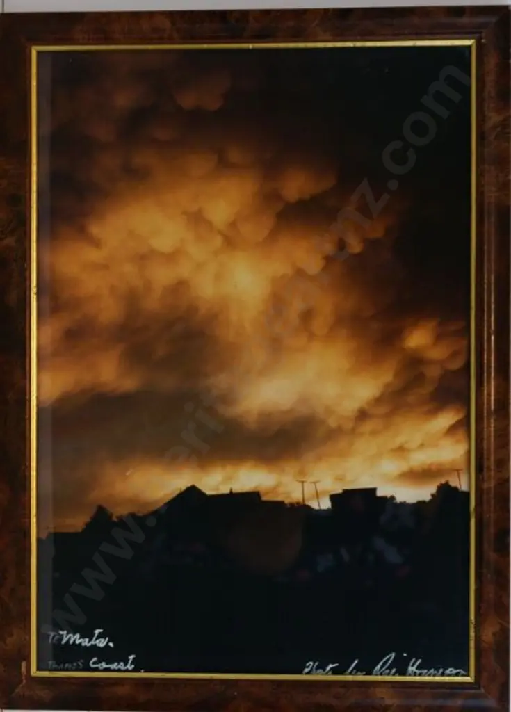 HAMON, Rei (1919-2008) - Te Mata - Cyclone Bola Image 1++