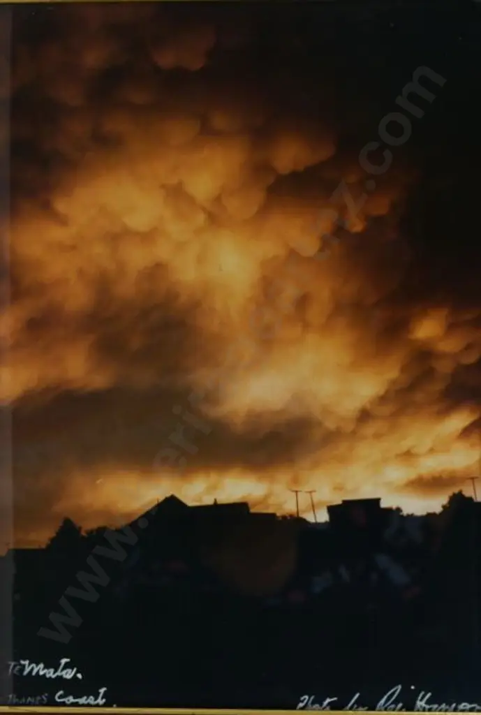 HAMON, Rei (1919-2008) - Te Mata - Cyclone Bola Image 1++