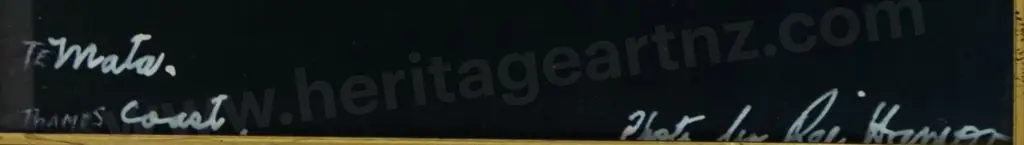 HAMON, Rei (1919-2008) - Te Mata - Cyclone Bola Image 1++