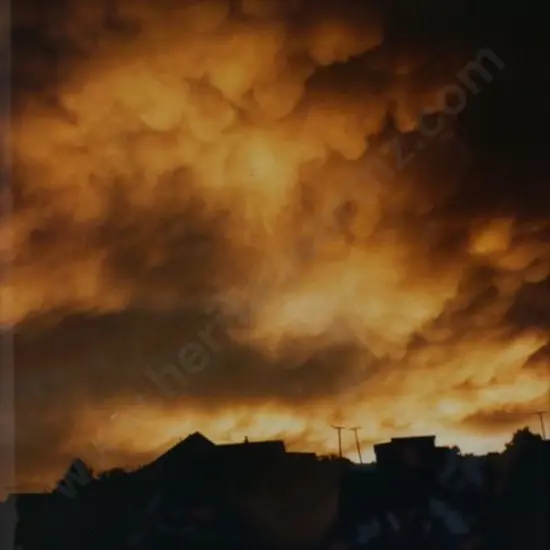 HAMON, Rei (1919-2008) - Te Mata - Cyclone Bola