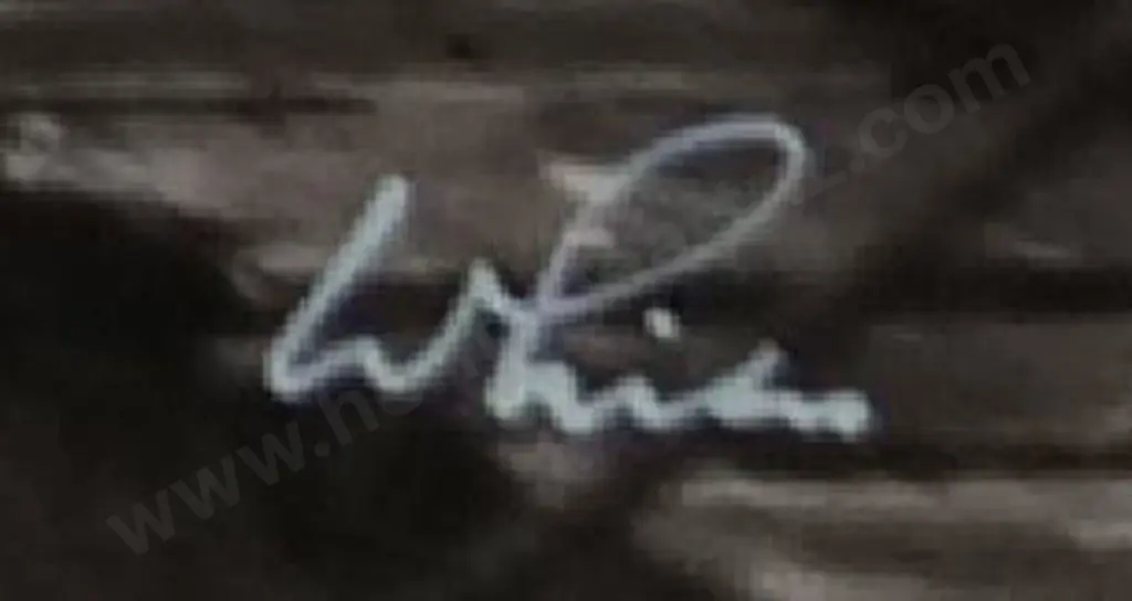 WHITE'S AVIATION - Whaling Station Image 1++