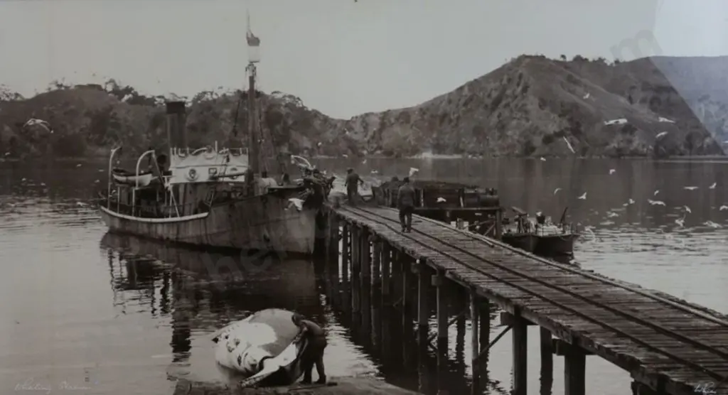 WHITE'S AVIATION - Whaling Station Image 1++