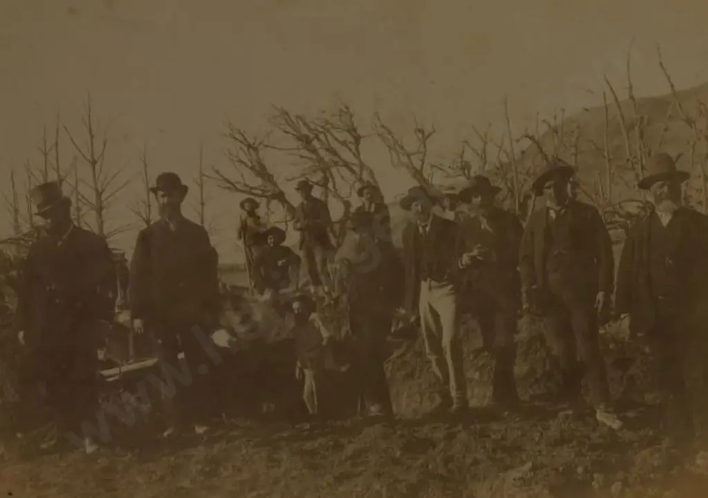 UNKNOWN Photographer - Rescue Party Wairoa 1886 Image 1++