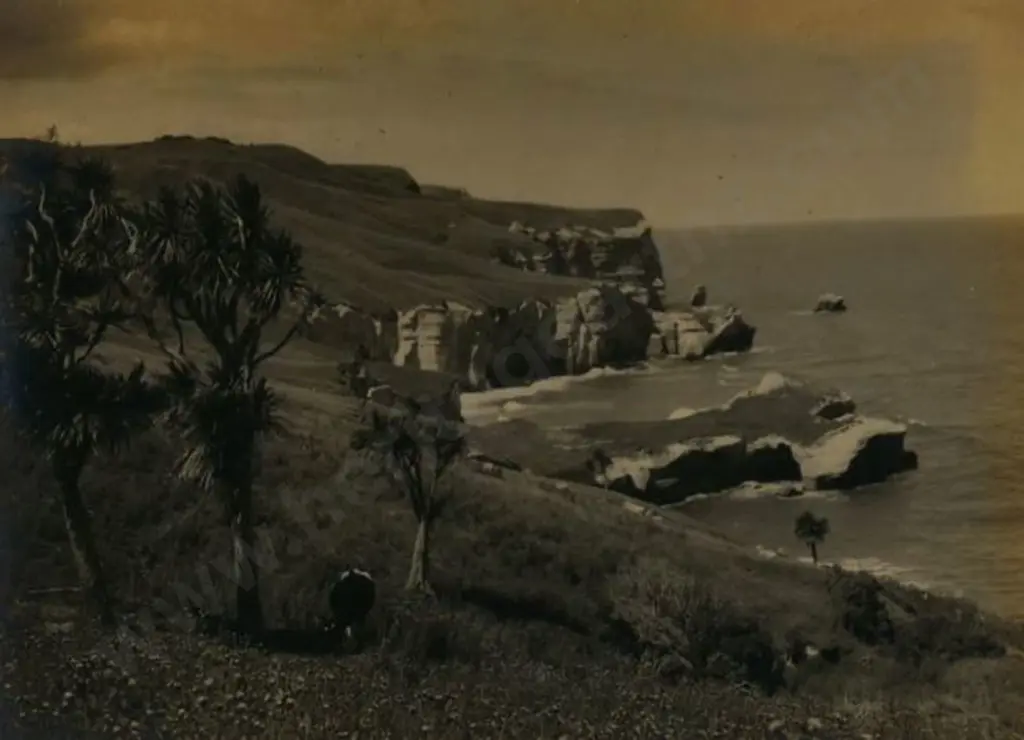 OMBER, E.H. - The Cliffs, St Clair, Dunedin Image 1++