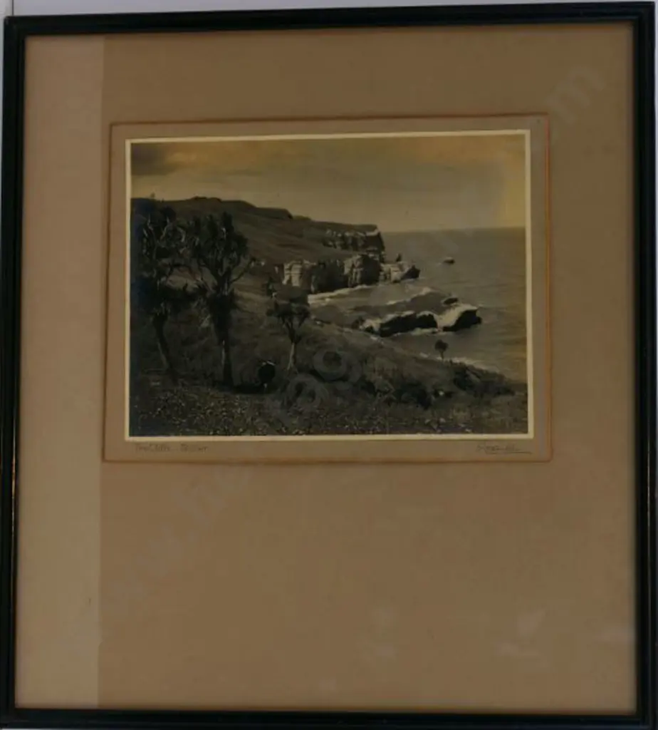 OMBER, E.H. - The Cliffs, St Clair, Dunedin Image 1++