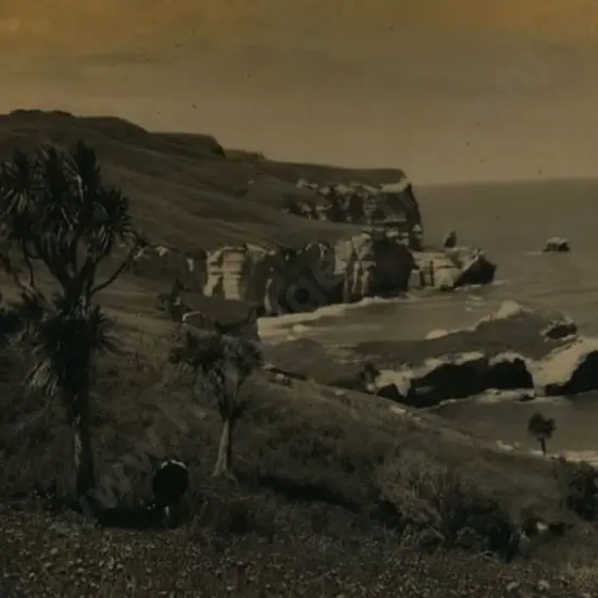 OMBER, E.H. - The Cliffs, St Clair, Dunedin