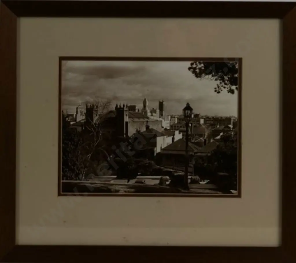 UNKNOWN Photographer - Central Auckland Image 1++