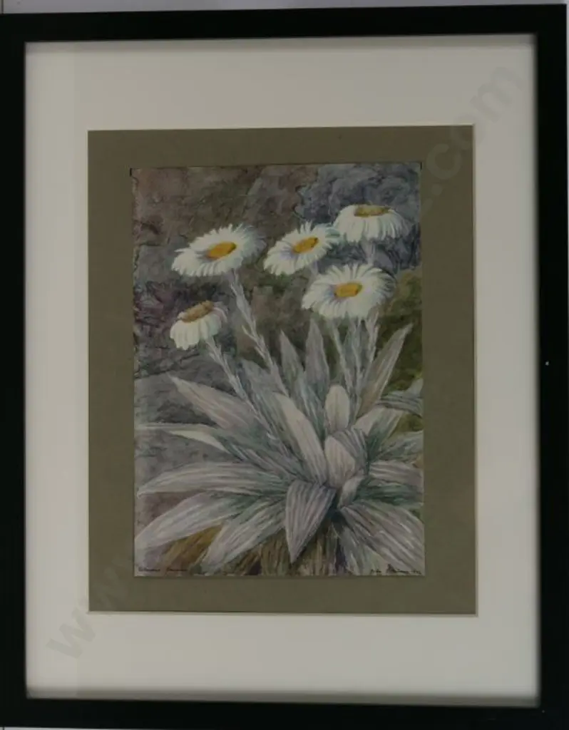 MOORE, John Lysaught (1897-1965) - Mountain Daisy Image 1++