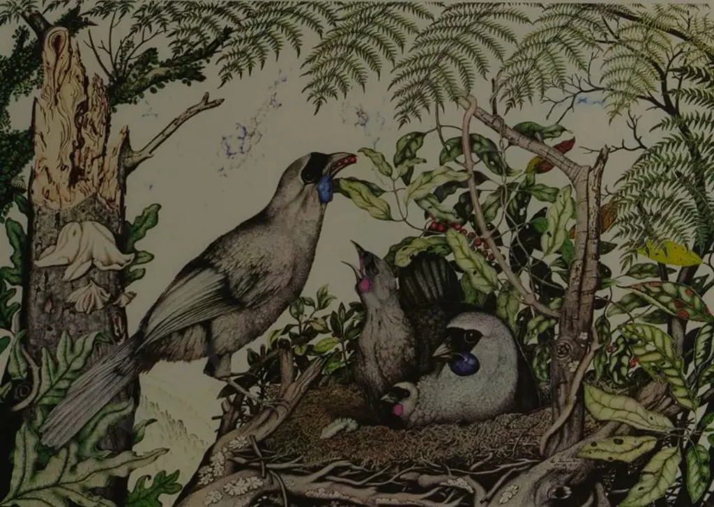 HAMON, Rei (1919-2008) - Kokako Image 1++