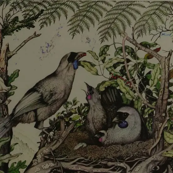 HAMON, Rei (1919-2008) - Kokako