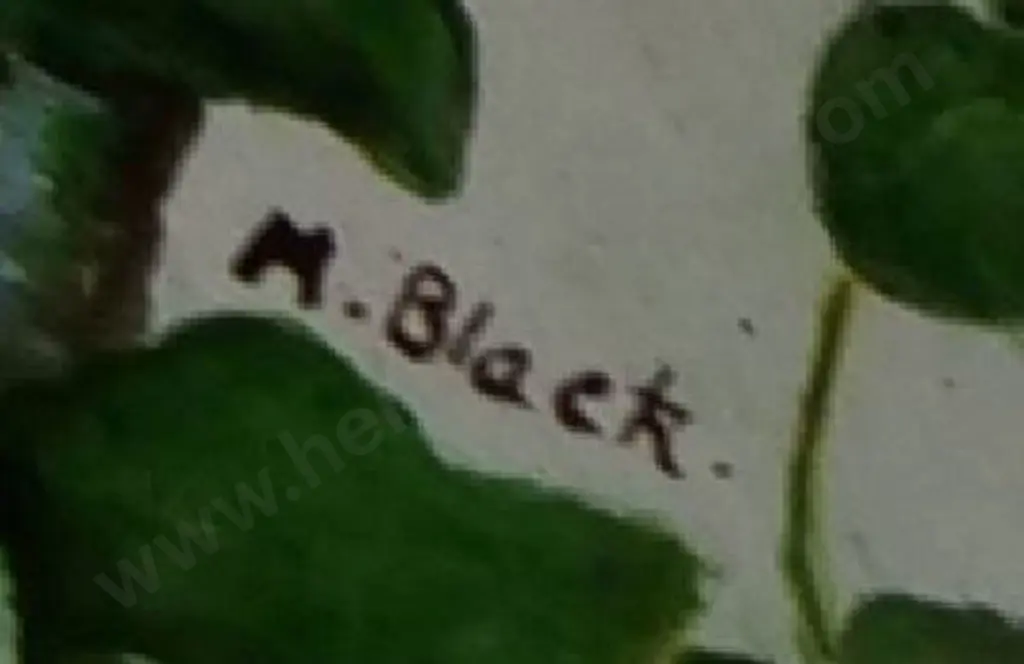 BLACK, M. - Finches on Tree Branch with Ivy Image 1++