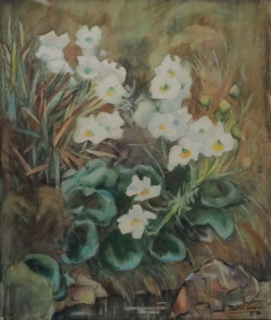 SEDDON, Beatrice (1889-1987) - White Poppies, 1970 Image 1++