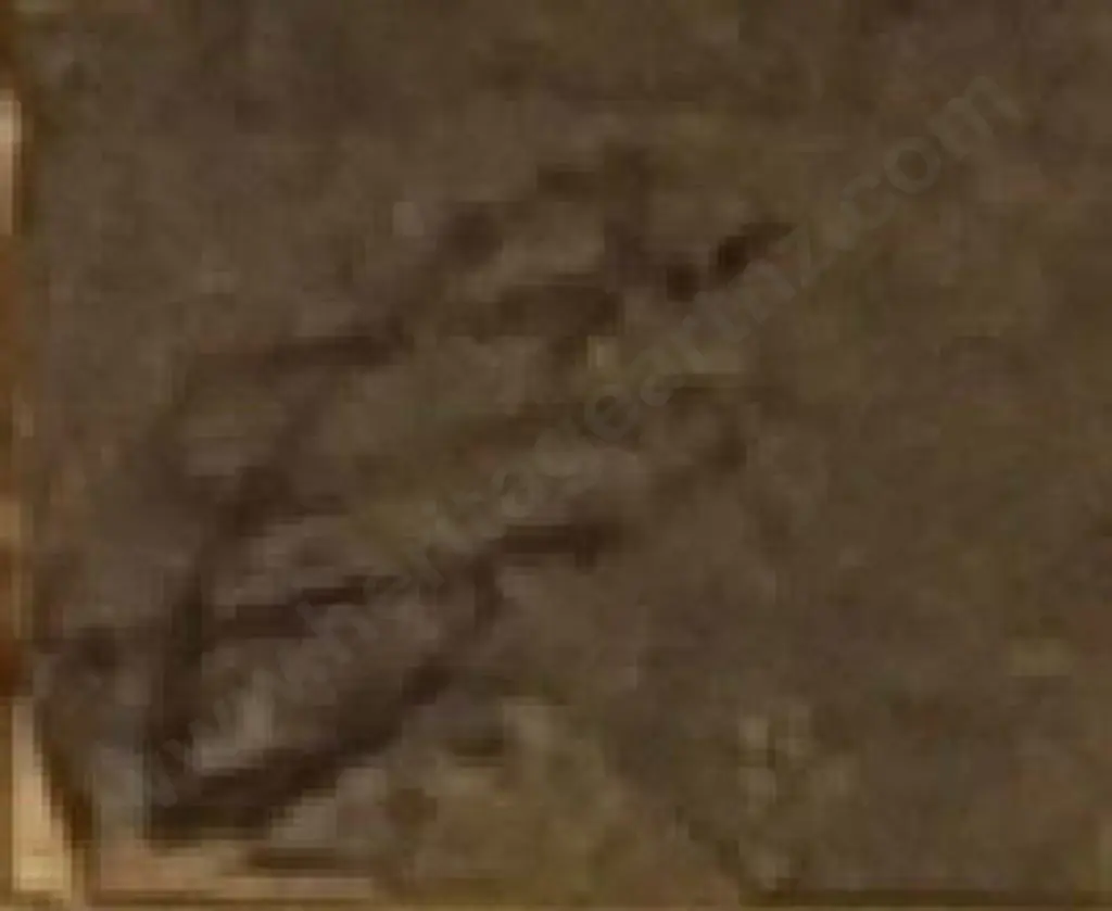 UNKNOWN Artist - Let the Race Begin Image 1++