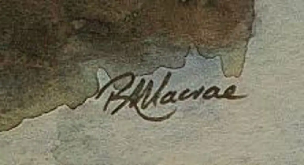 MACRAE, Robyn - Wildflowers, 1992 Image 1++