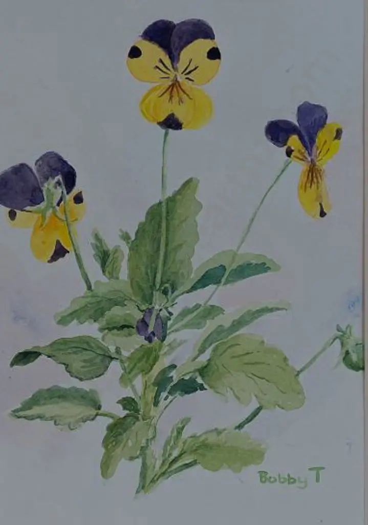 BOBBY, T. - Pansies Image 1++