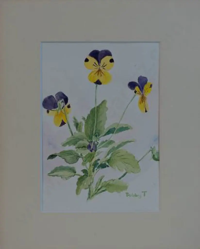 BOBBY, T. - Pansies Image 1++
