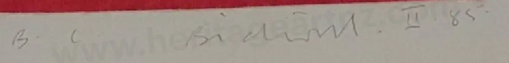 BIDWILL, Bridget Carne (1956-) - Untitled Image 1++