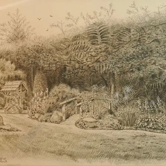 HUYBERS, Jan - The Maples, Taranaki 1991