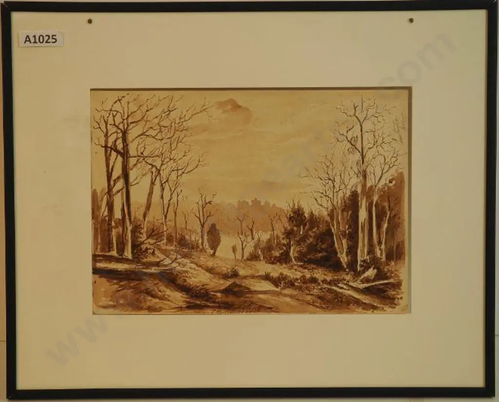 UNKNOWN - Te Aroha c.1889 Image 1++