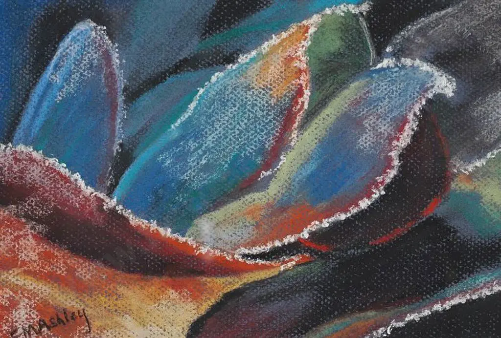 ASHLEY, Elizabeth M. - Winter Splendour (Frost on Bergenias) Image 1++