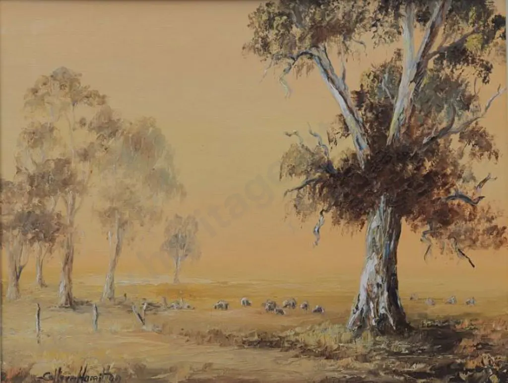 HAMILTON, Colleen (1930-1996) - Evening Light, NSW Image 1++