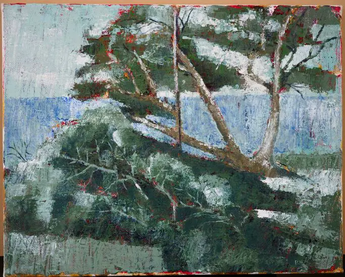 P.N.M (Initials) - Trees in Landscape (abstract) Image 1++