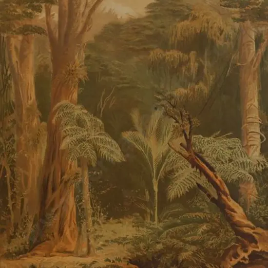 GULLY, John (1819-1888) - New Zealand Forest, 1877