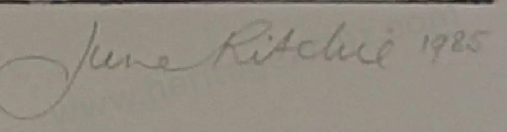 RITCHIE June (working 1980s) - Turoa Downhill Image 1++