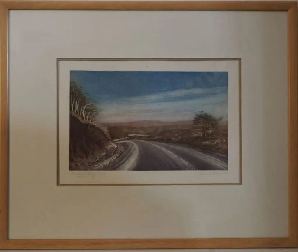 RITCHIE June (working 1980s) - Turoa Downhill Image 1++