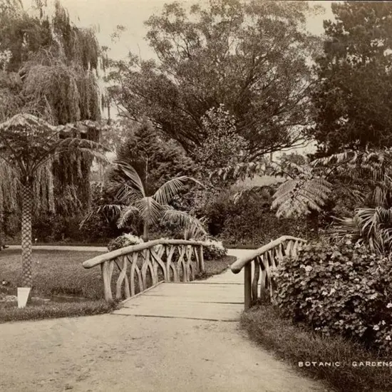 PAINE, John (1833-1908) - Botanic Gardens, Melbourne, c. 1880