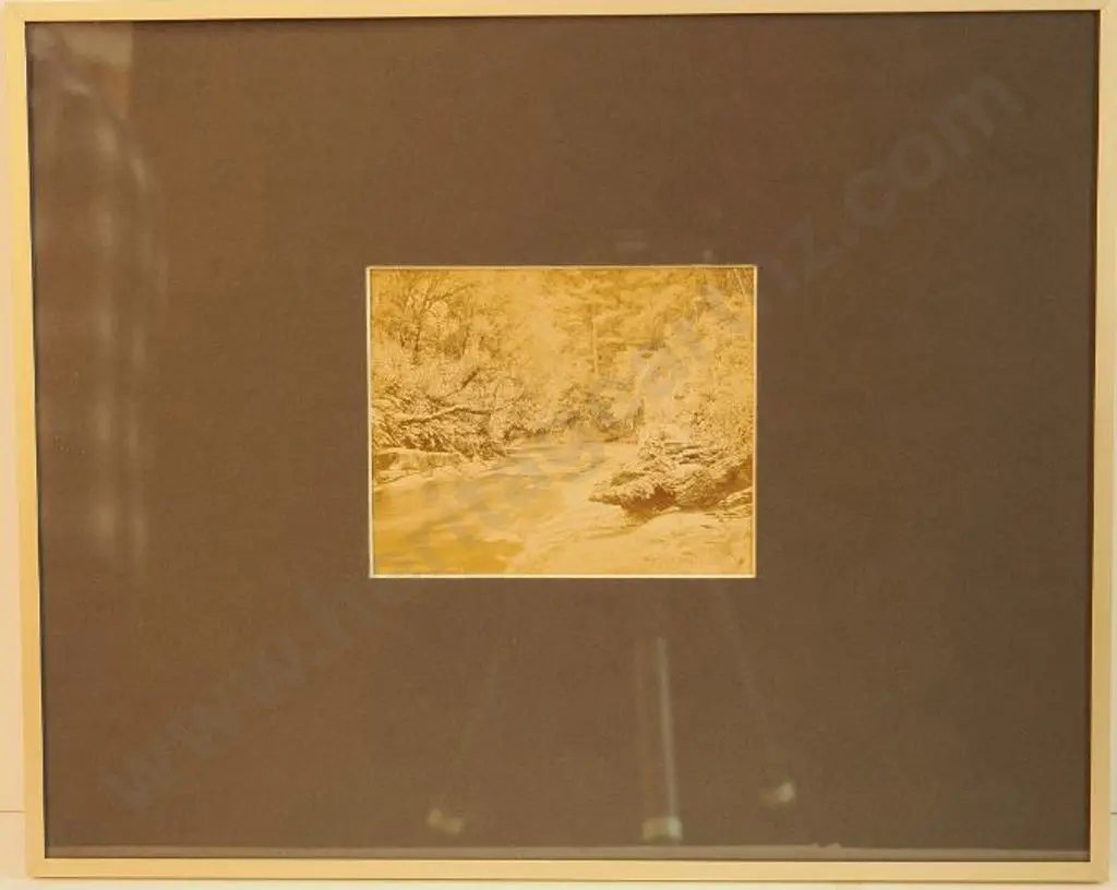 BURTON BROS - Dunedin (1870s-1890s) - Mongarewa Gorge, c. 1880-1890 Image 1++