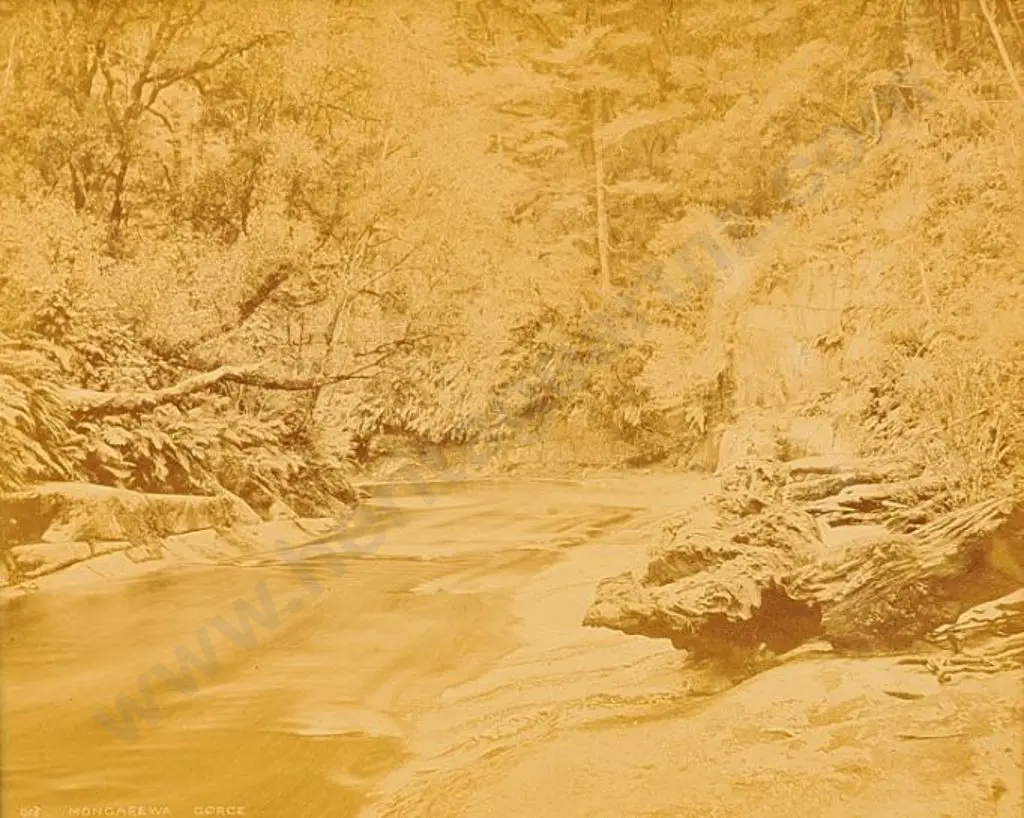 BURTON BROS - Dunedin (1870s-1890s) - Mongarewa Gorge, c. 1880-1890 Image 1++