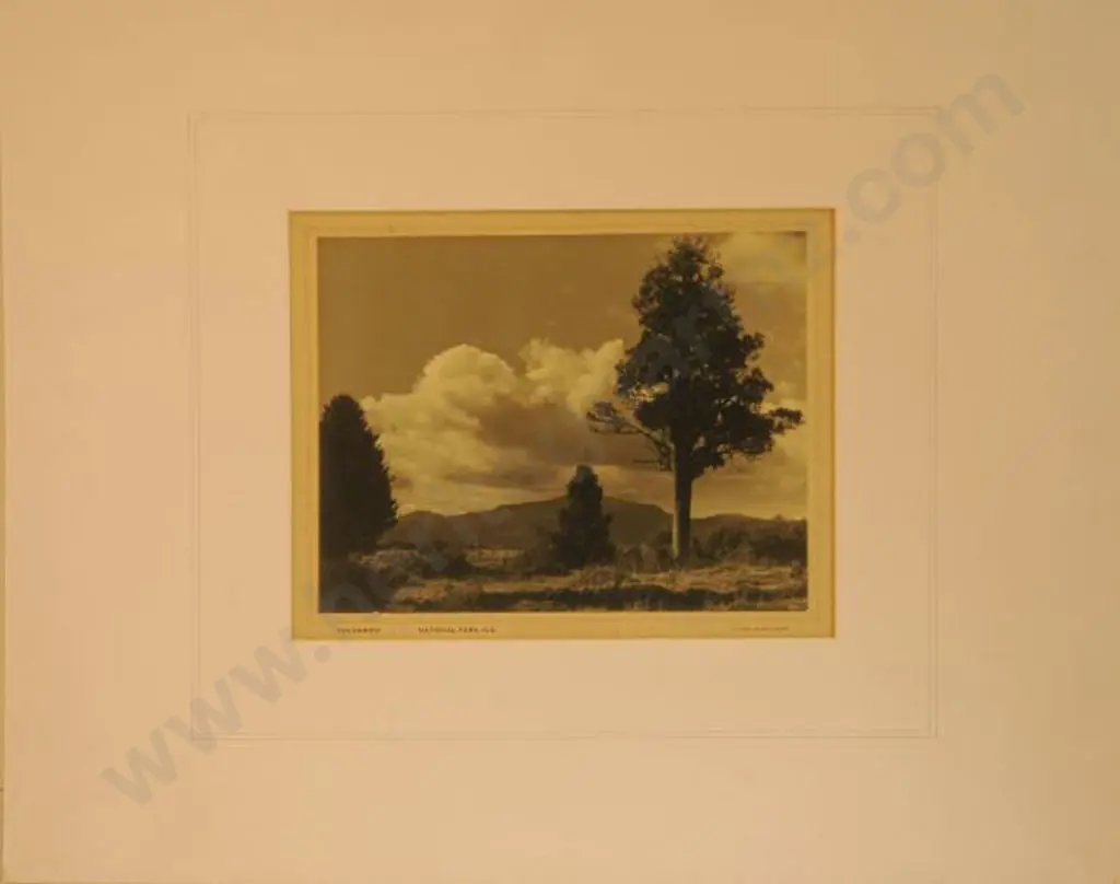 WILSON, James Lloyd (1915-1980) - Tongariro National Park Image 1++