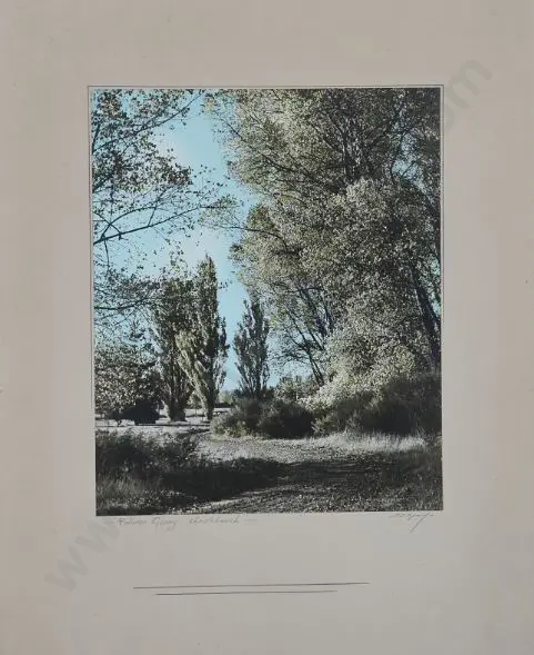 GRAUF, F.S. (20th Cent.) - Autumn Glory, Christchurch - c.1950 Image 1++