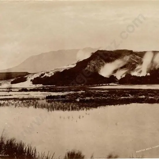 BURTON BROS - Dunedin (1870s-1890s) - Lake Rotomahana, c.1880