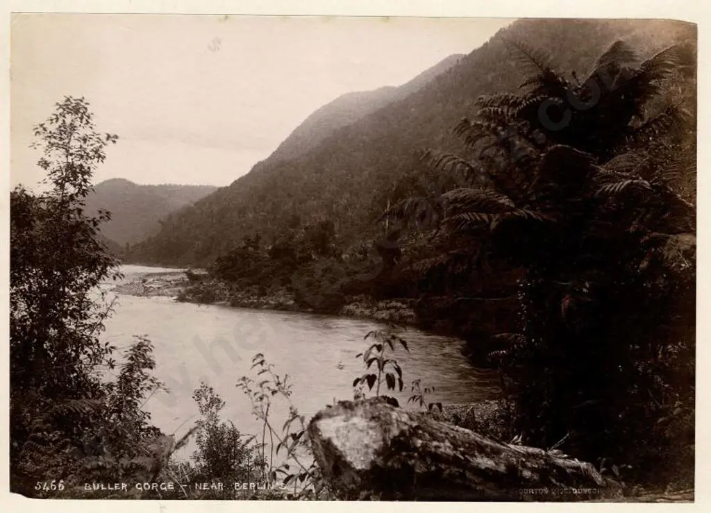 BURTON BROS - Dunedin (1870s-1890s) - Buller Gorge, Near Berlin's, c.1880 Image 1++