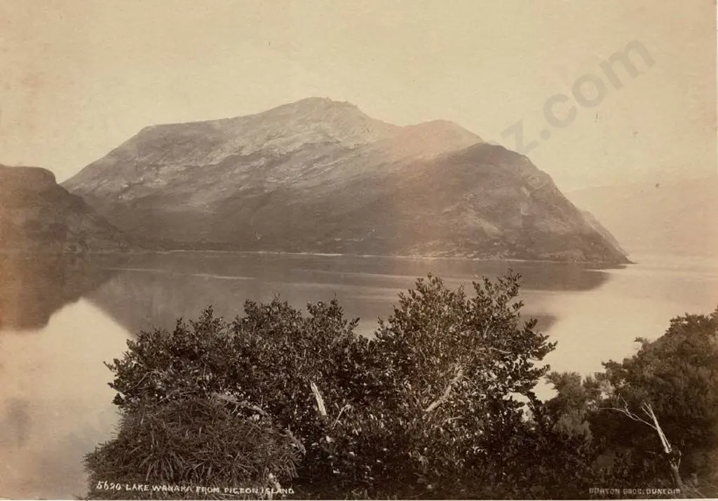 BURTON BROS - Dunedin (1870s-1890s) - Lake Wanaka from Pigeon Island, c. 1880 Image 1++