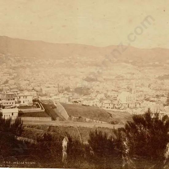 BURTON BROS - Dunedin (1870s-1890s) - Te Aro, Wellington, c.1880