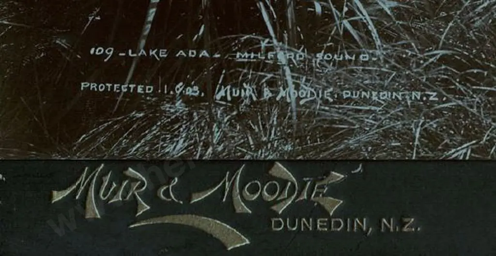 MUIR & MOODIE - Dunedin (1898-1916) - Lake Ada - Milford Sound, c.1900 Image 1++