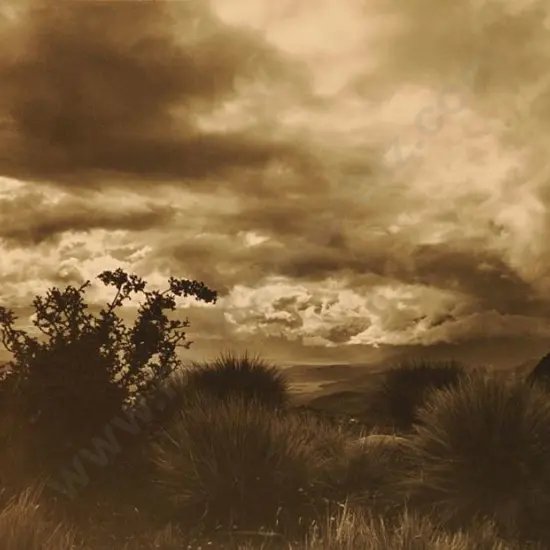 CASBOLT, Frederick Lennard (1896-1987) - West Coast Shoreline with Tussoc