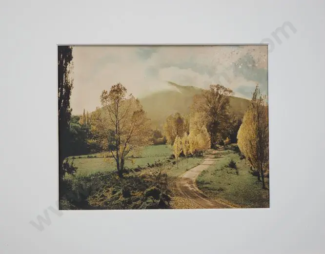 AUTUMN in the South - South Island Autumnal Scene - Handcoloured Photo c.1950 Image 1++