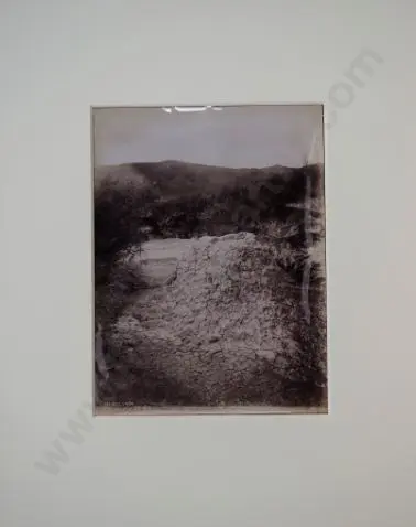 MARTIN, Josiah (1843-1916) - Beehive Cone, c.1890 Image 1++