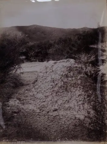 MARTIN, Josiah (1843-1916) - Beehive Cone, c.1890 Image 1++