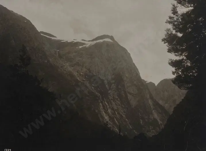 UNKNOWN Photographer - Along the Milford Track, c. 1900 Image 1++