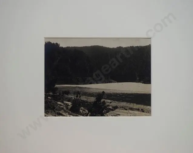 UNKNOWN Photographer - Buller Gorge, c.1900 Image 1++