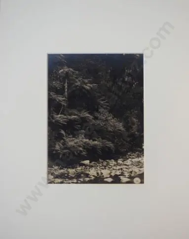 UNKNOWN Photographer - Dorothy Creek, Lake Kanieri, c. 1900 Image 1++