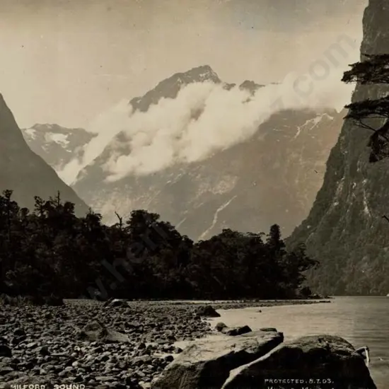 MUIR & MOODIE - Dunedin (1898-1916) - Arthur River, Milford Sound, c.1903